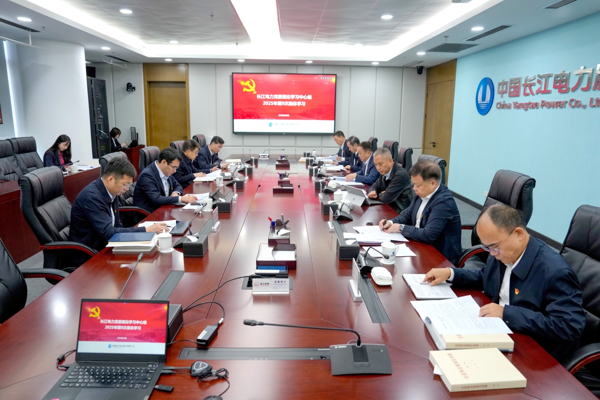 mk体育党委理论学习中心组专题学习党的二十届四中全会精神